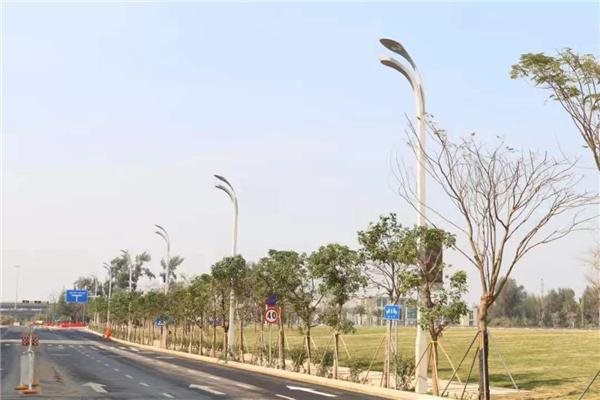 央广网对话林洺锋：LED全产业链已全面实现国产化