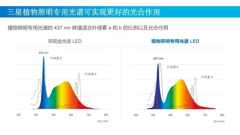 三星LED通过437nm峰值波长的植物照明专用光谱，实现植物工厂种植生菜减排6%！