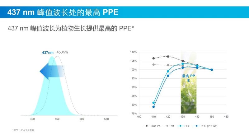 三星LED通过437nm峰值波长的植物照明专用光谱，实现植物工厂种植生菜减排6%！