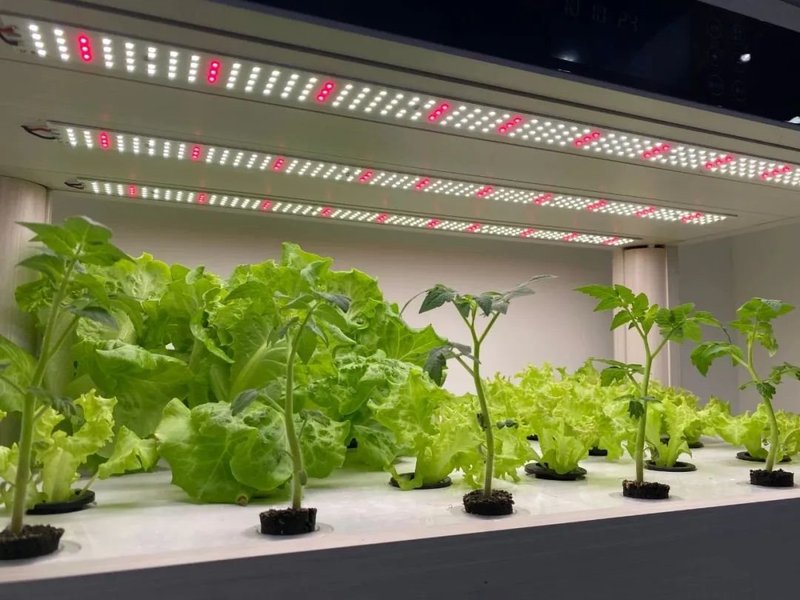 光亚展划重点：10家品牌企业展品亮点剖析