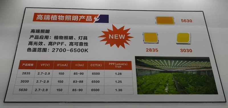 光亚展划重点：10家品牌企业展品亮点剖析