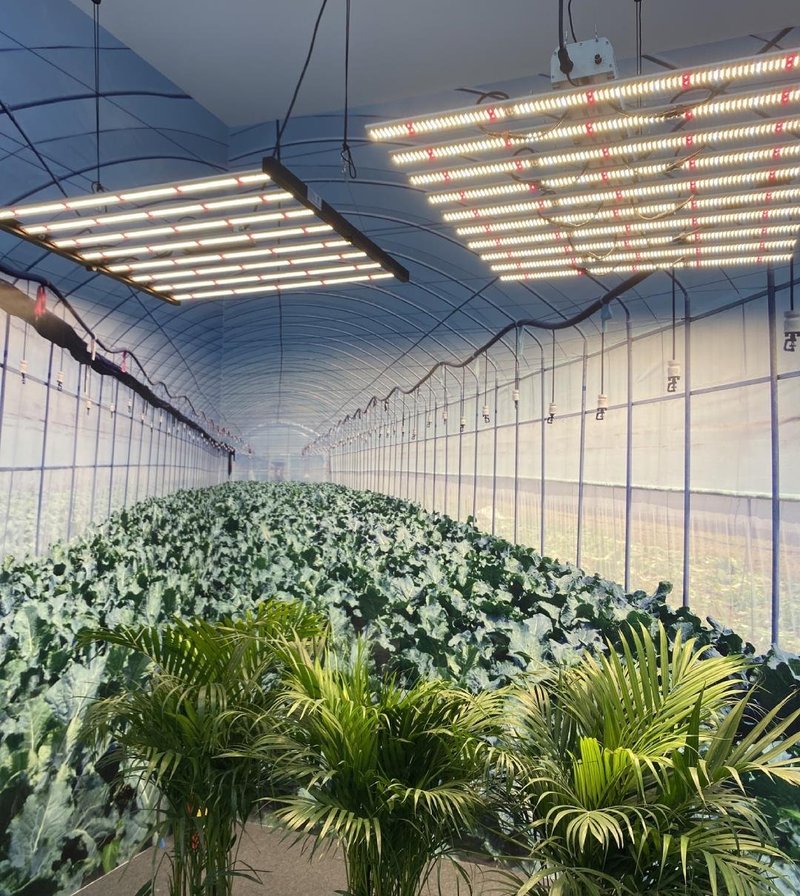 2020光亚展｜雷曼拓享为照明创造更多可能