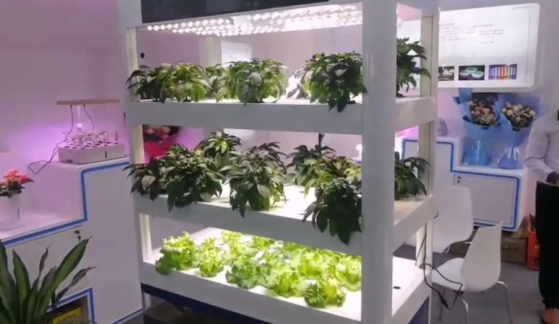 老洪划重点：2020光亚展的十大特点