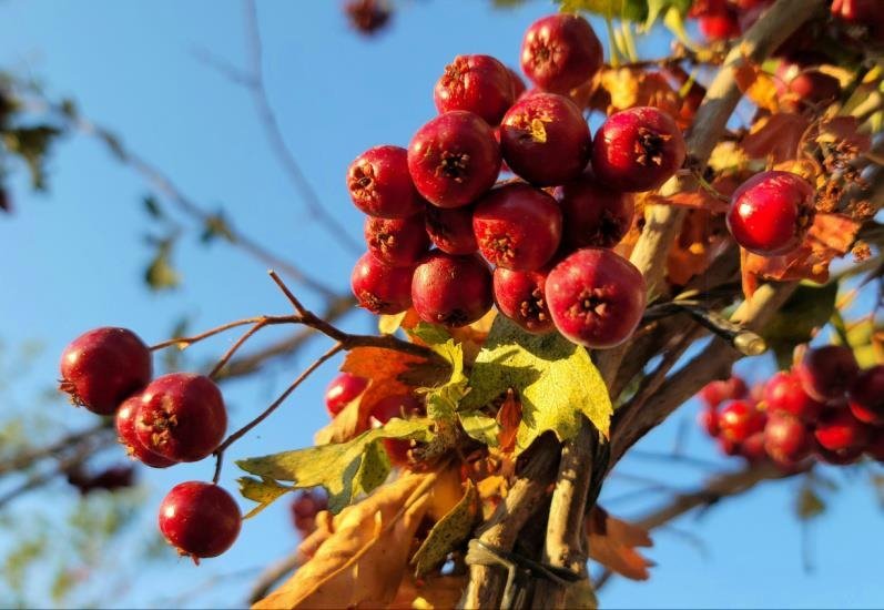 材料深一度|唐国庆：智慧灯杆的命运由谁主导？
