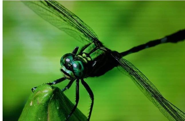 全球首发！首台8K120寸超高清电视来了！