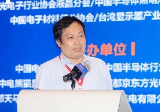 2020第四届中国（国际）Micro-LED显示高峰论坛暨第二届成都新型显示合作洽谈会胜利召开