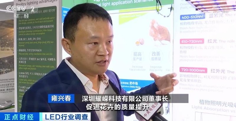 今年发展如何？来看看央视对LED行业的调查