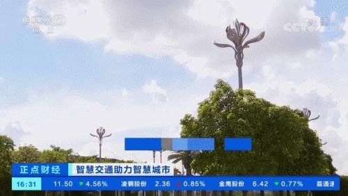 洲明携手阿里、腾讯、华为入选2020中国新经济企业500强