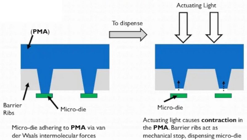 这家公司MicroLED巨量转移取得新进展；晶呈在铜磁基板开发超薄MicroLED；聚灿联手中科院成立联合实验室