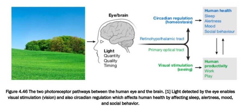 邵嘉平：2020年LED行业之小结与近期随感