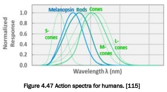 邵嘉平：2020年LED行业之小结与近期随感