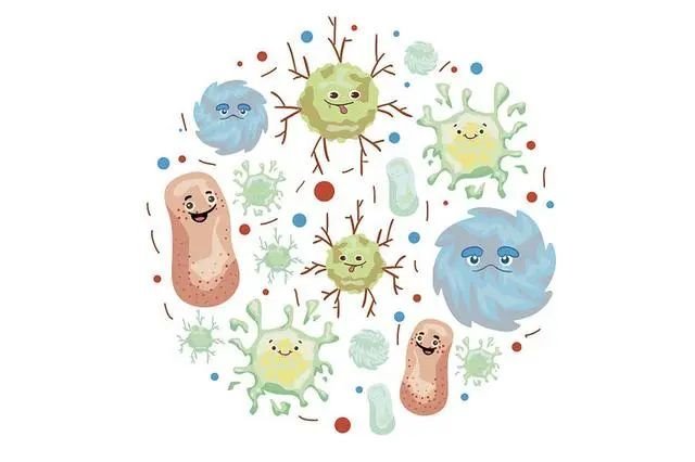 三星电子2019年研发支出达165亿美元创历史新高