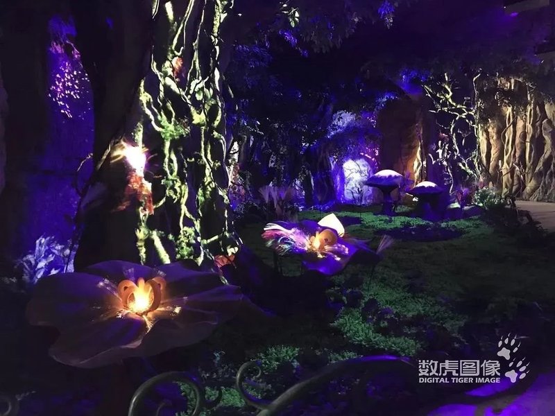 夜游经济市场广阔，五大方案助你分得一杯羹！