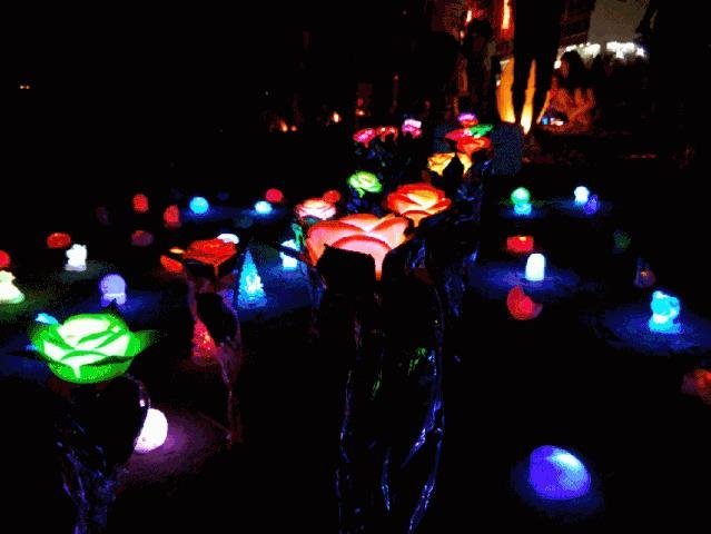 夜游经济市场广阔，五大方案助你分得一杯羹！