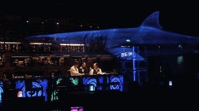 夜游经济市场广阔，五大方案助你分得一杯羹！