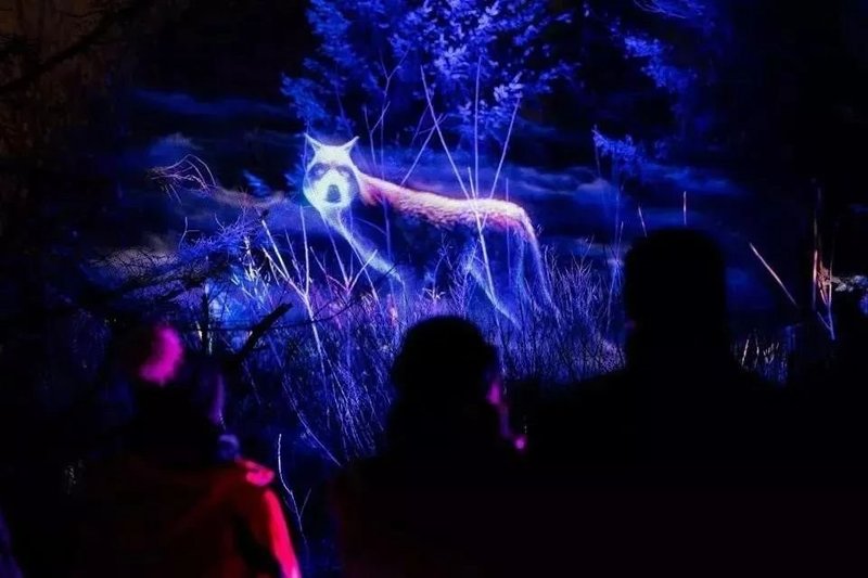 夜游经济市场广阔，五大方案助你分得一杯羹！