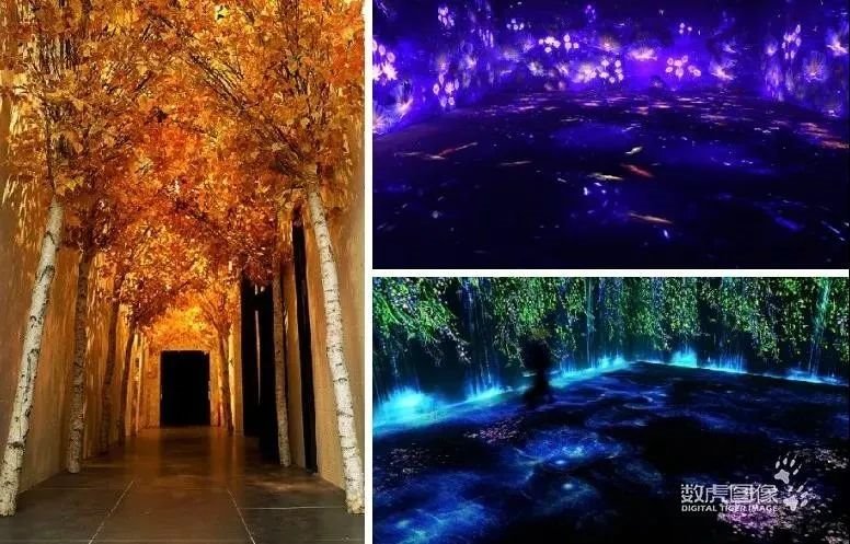 夜游经济市场广阔，五大方案助你分得一杯羹！