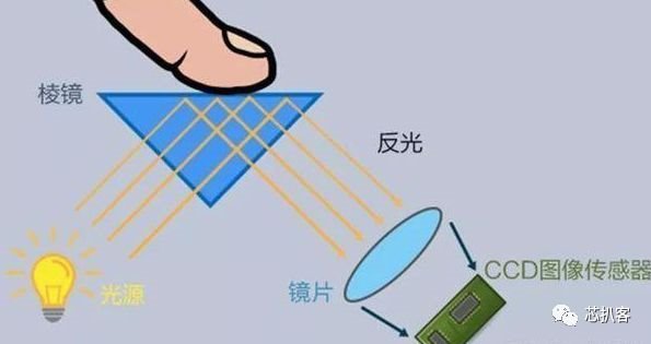 LCD屏下指纹不是梦？LCD真香～