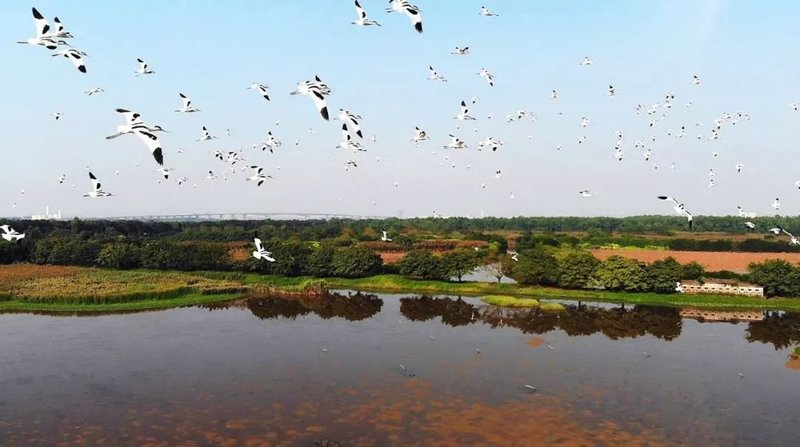 广州12条措施3亿资金扶持文旅企业