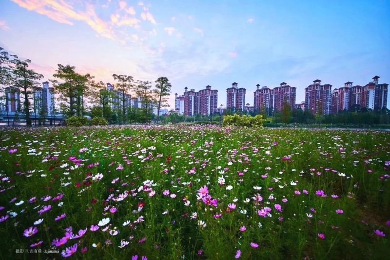 广州12条措施3亿资金扶持文旅企业