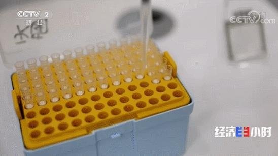 央视点赞中国面板双雄：BOE（京东方）、TCL华星