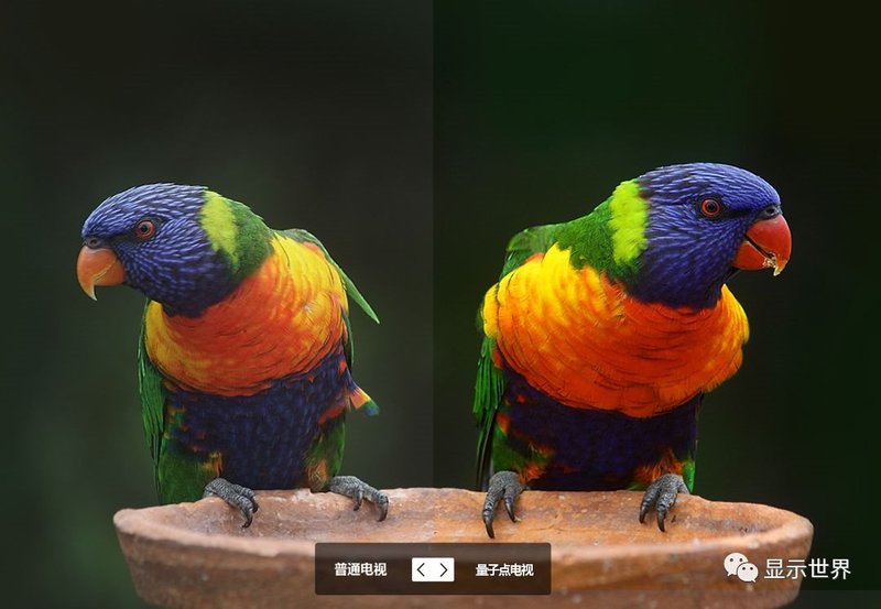 量子点显示方案