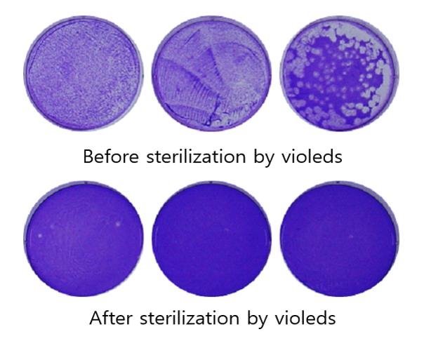 首尔伟傲世和SETi公司Violeds技术被证明可在30秒内杀灭99.9%的新冠病毒(COVID-19)