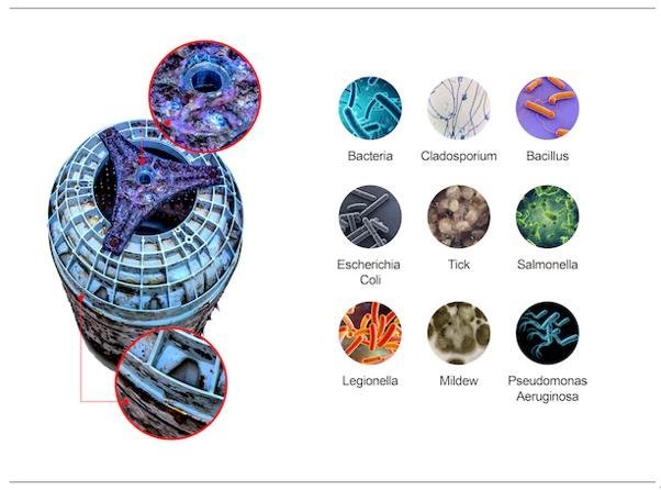 可杀灭Covid-19的Violeds技术已成功应用于去除异味、杀菌消毒的清洁洗涤
