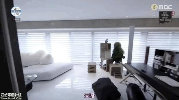 影帝刘亚仁58亿豪宅里的吊灯曝光！关于意大利品牌灯具你了解多少？