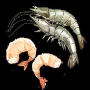 “虾”你一跳！下一个是“啥”？