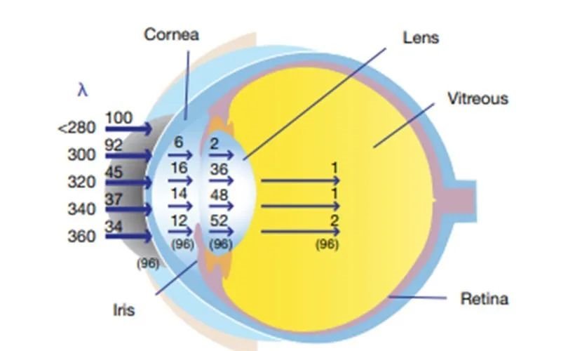 想用好UVLED固化设备？这篇避坑指南你一定要看！(上)