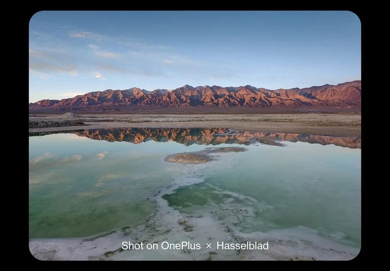 三星供屏！一加9系列发布：6.7寸2KLTPOOLED屏、哈苏影像，3799元起售