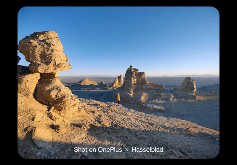 三星供屏！一加9系列发布：6.7寸2KLTPOOLED屏、哈苏影像，3799元起售