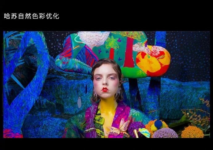 一加9/Pro系列首发自由曲面镜片，或搭配6.7英寸AMOLED屏