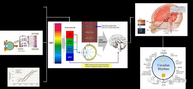 照明相关|让人造光回归自然！