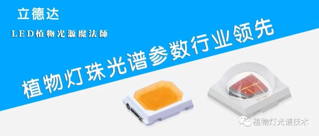 行家说