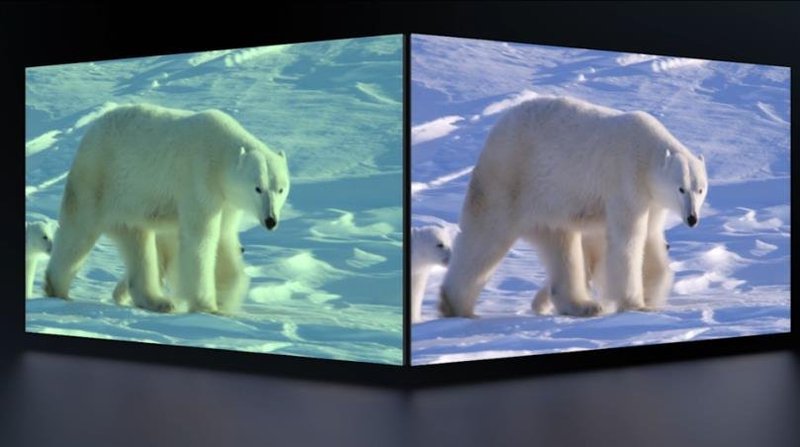 京东方、天马、维信诺、三星显示、LGD、AUO等携新技术及产品亮相SID