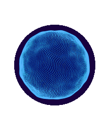 天马Mirco-LED、卷曲折叠AMOLED、真全面屏LCD技术等亮相SID