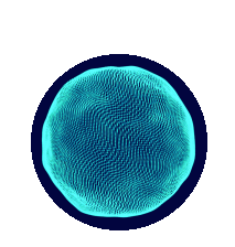 天马Mirco-LED、卷曲折叠AMOLED、真全面屏LCD技术等亮相SID