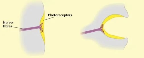 下个十年，光是最大的生意