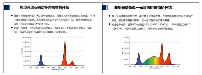 鸿利智汇推植物光照系列产品，助力农业未来