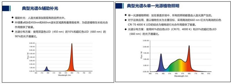 鸿利智汇推植物光照系列产品，助力农业未来