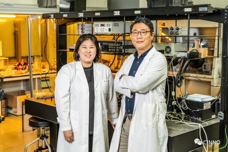 量子点｜韩国团队开发高效钙钛矿量子点电致发光材料