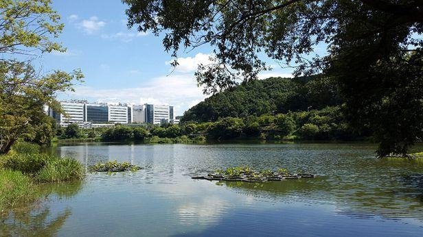 从鸡肋变成金蛋的大型LCD：三星再生产一年·LGD维持生产线