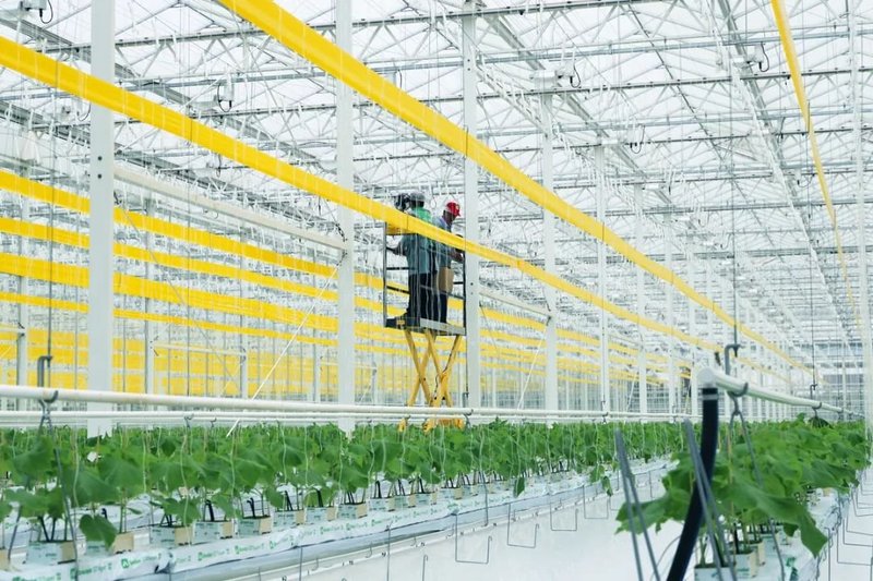 老洪划重点：如何从农业角度推进碳中和？