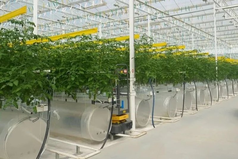 老洪划重点：如何从农业角度推进碳中和？