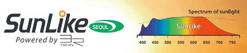 GEcurrent,aDaintreecompany回归中国市场