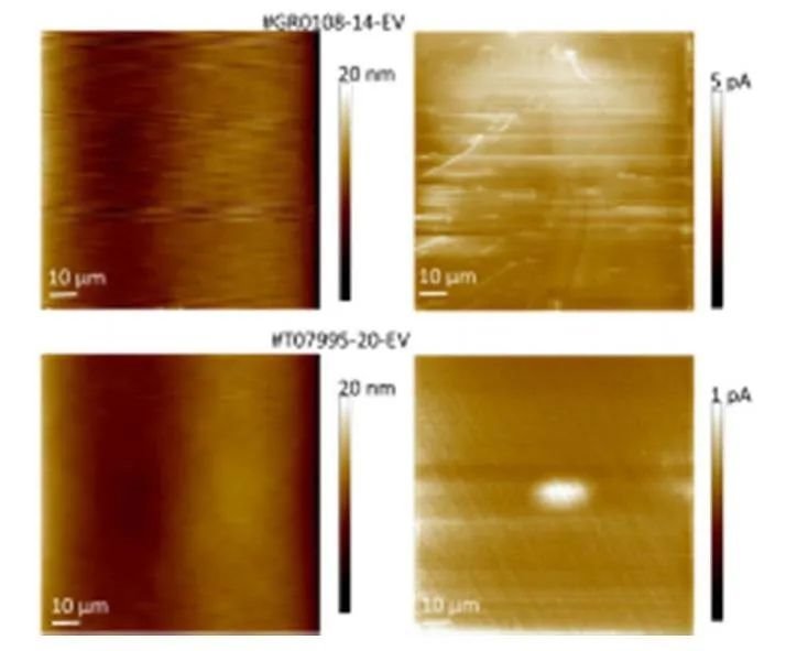 这家企业量产8英寸SiC，三安当初不要它？