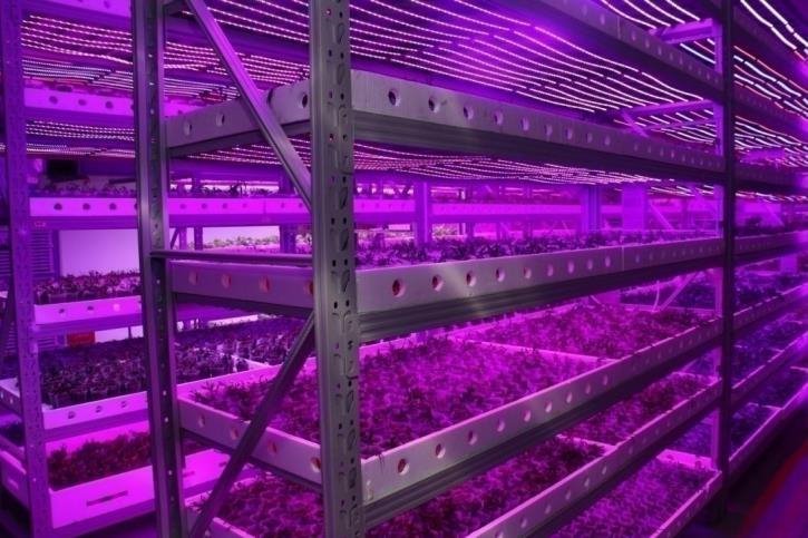 植物补光设备行业发展驱动因素及机遇挑战分析