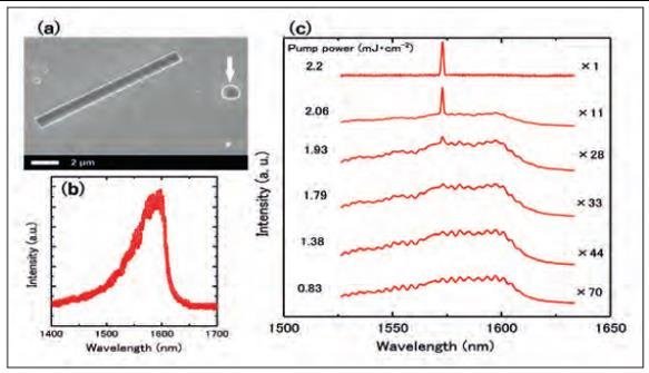 用纳米线瞄准电信